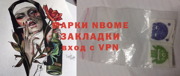 индика Володарск