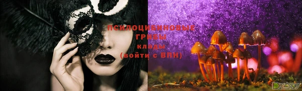стаф Волоколамск