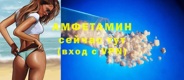 индика Володарск