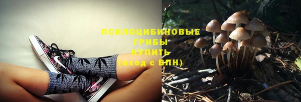 индика Володарск