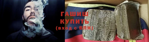 индика Володарск