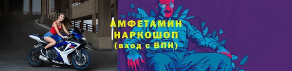 индика Володарск
