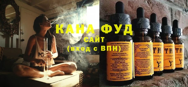 индика Володарск