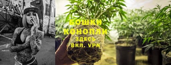 индика Володарск