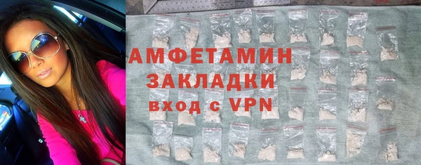 индика Володарск