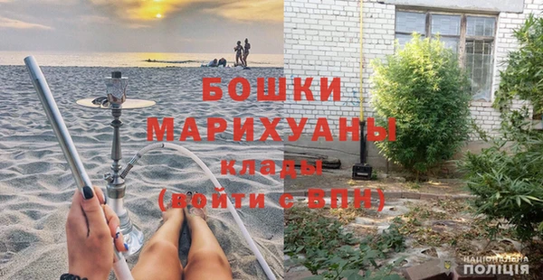индика Володарск
