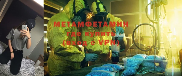 индика Володарск