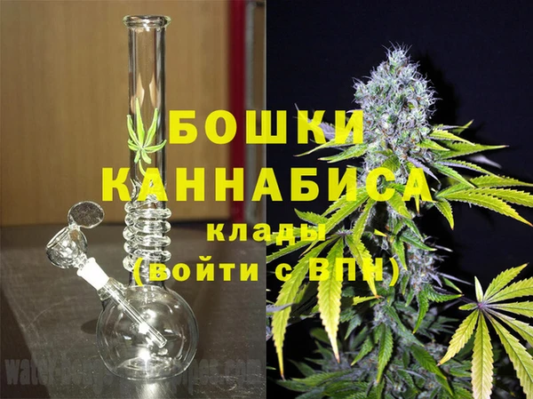 индика Володарск