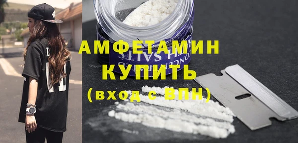 индика Володарск